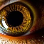 Close-up of detailed golden brown eye iris with vibrant colors and intricate texture.