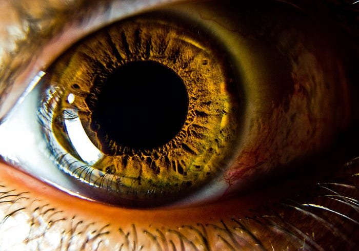 Close-up of detailed golden brown eye iris with vibrant colors and intricate texture.