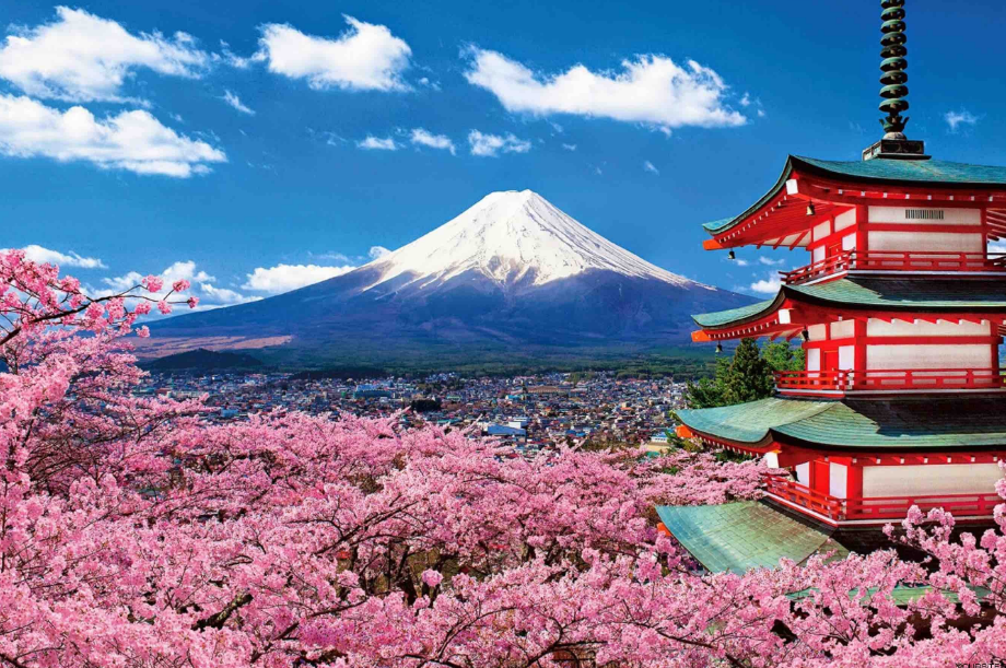 Mount Fuji: Cherry Blossoms and Red Pagoda in Japanese Springtime