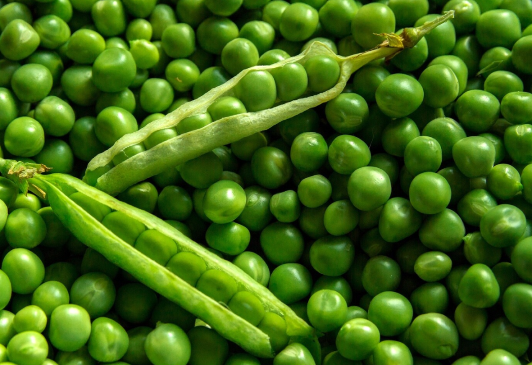 Two open pea pods on top of a pile of fresh green peas.