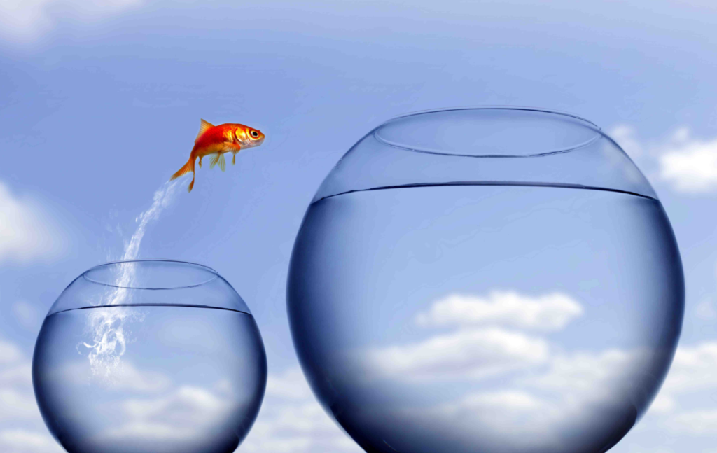 A goldfish jumping from one fishbowl to another against a sky with clouds background.