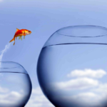 Goldfish jumping between bowls symbolizing ambition and growth under clear sky.