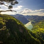 Breathtaking view of river valley with mountains, lush greenery, and rugged tree under sunny sky.
