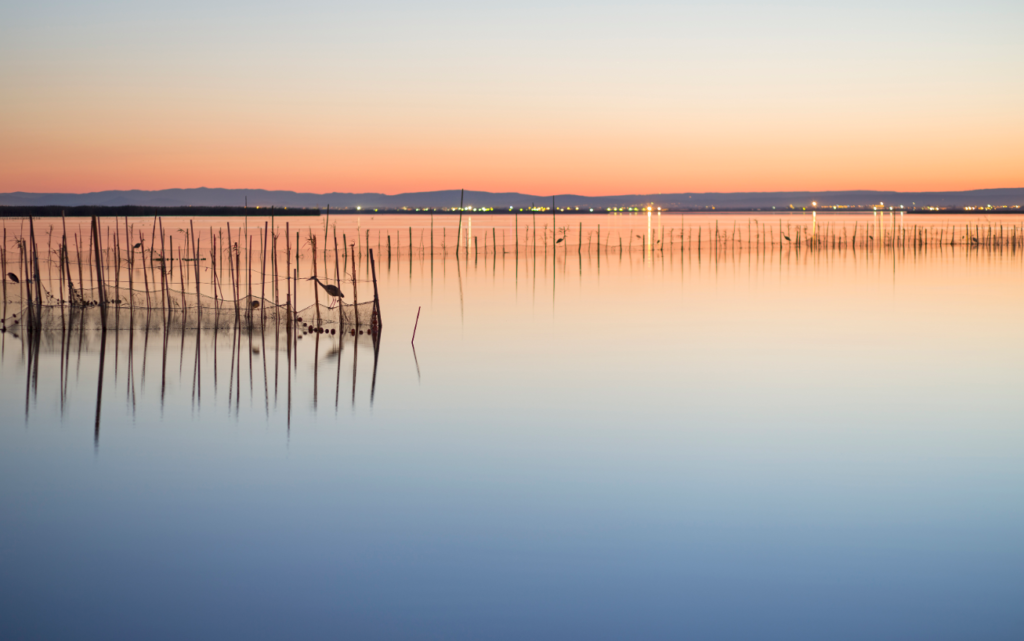 A serene sunset over calm waters with silhouettes of small sticks and plants protruding from the surface, reflecting a gradient sky from blue to orange.