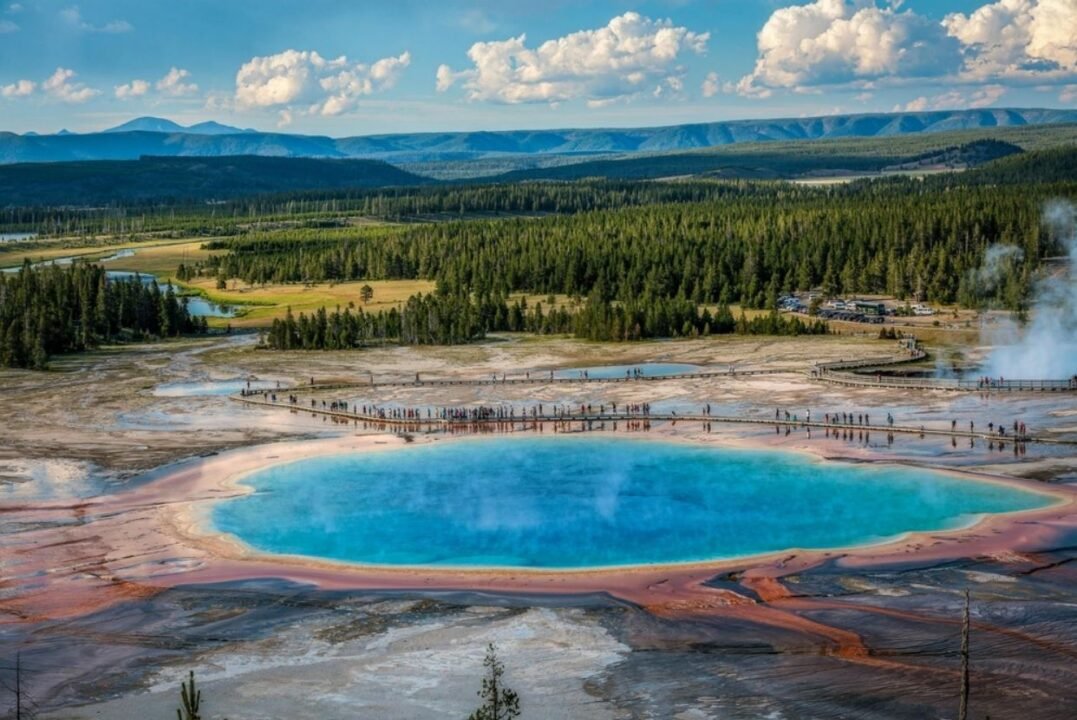 Aerial view of the Grand Prismatic Spring in Yellowstone National Park, surrounded by lush forests and distant mountains, with a boardwalk filled with tourists encircling the vibrant, colorful hot spring.