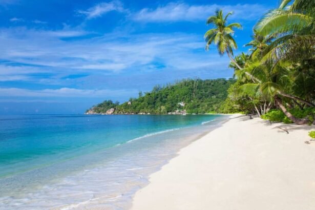 Tropical beach with turquoise water, white sand, and lush green palm trees under a bright blue sky.