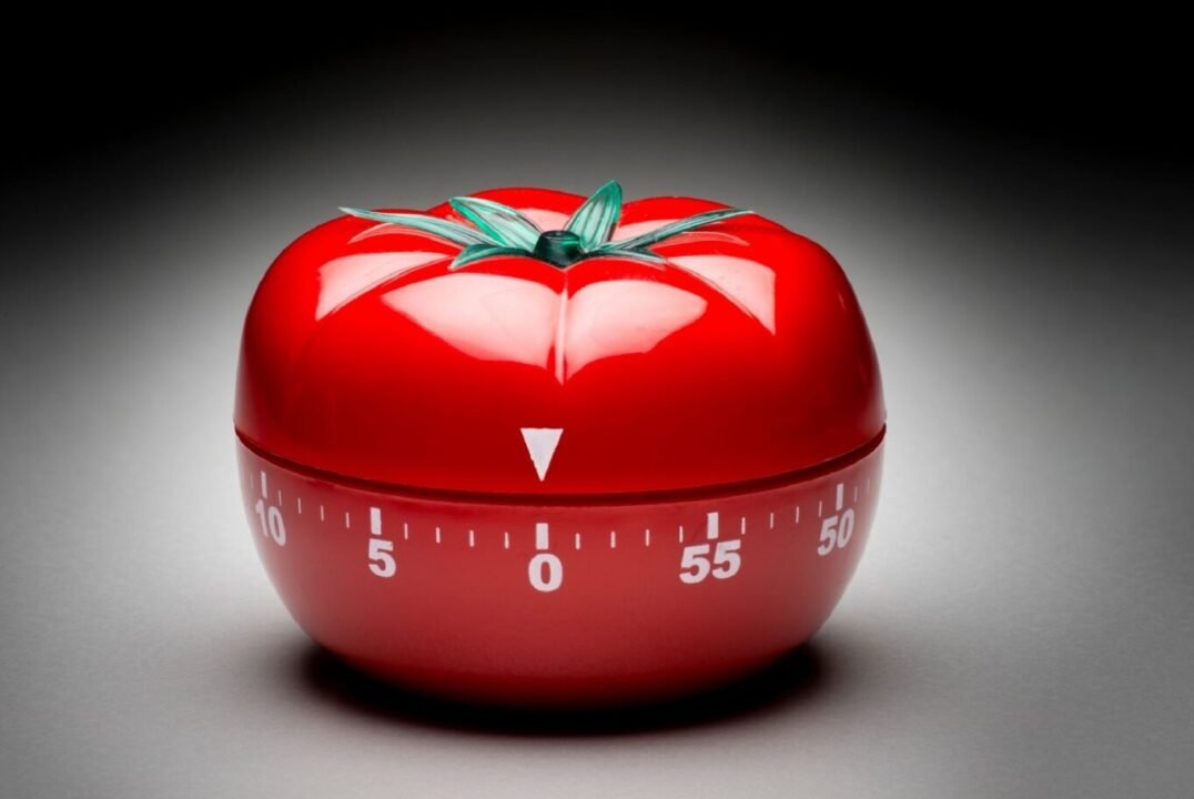 Ripe Tomato Kitchen Timer - Green Stem, 0-55 Minute Scale - Gray Background.