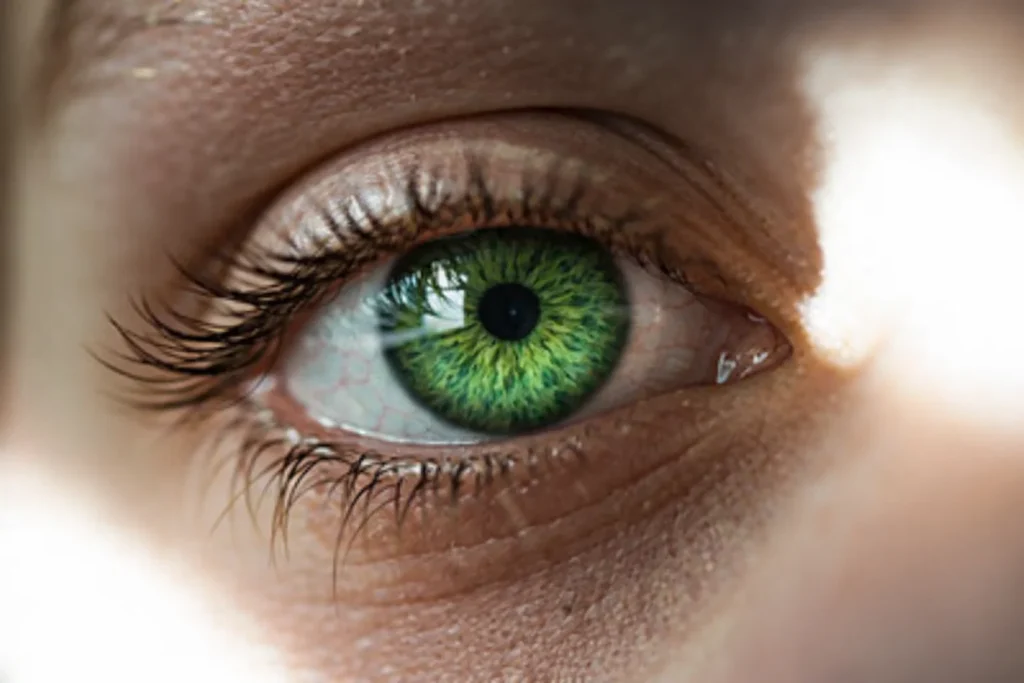 A closeup of a green eye